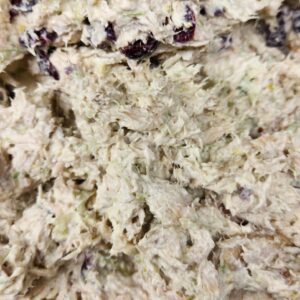 CRANBERRY WALNUT CHICKEN SALAD